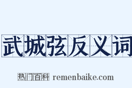 武城弦反义词是什么意思的图片